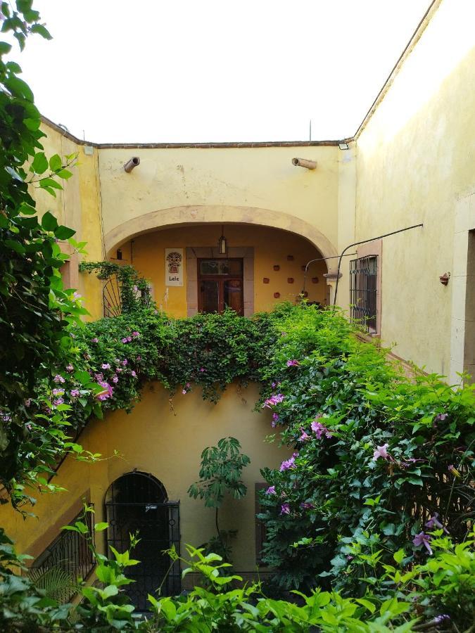 Lele Panchito Y Lavanda Juntos En El Centro ケレタロ エクステリア 写真